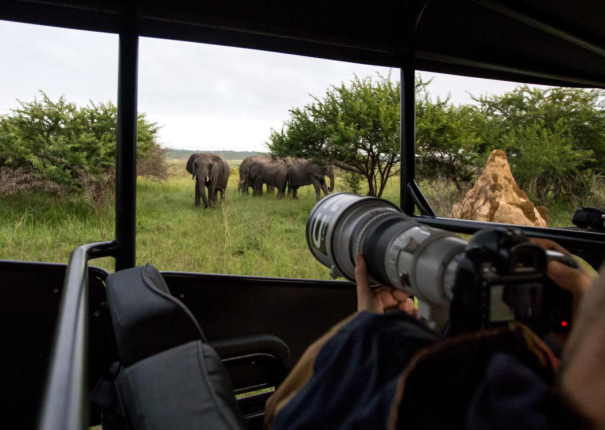Royal Thonga Safari Lodge Sihangwane Buitenkant foto