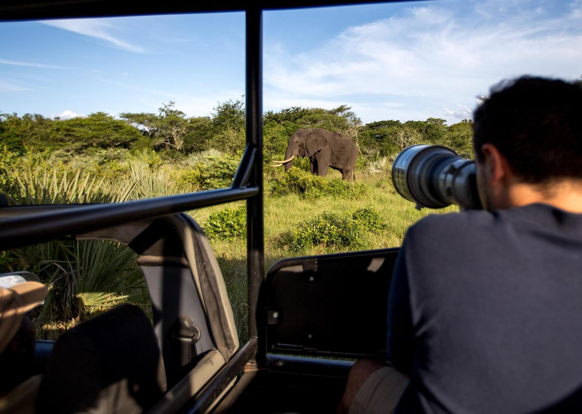 Royal Thonga Safari Lodge Sihangwane Buitenkant foto