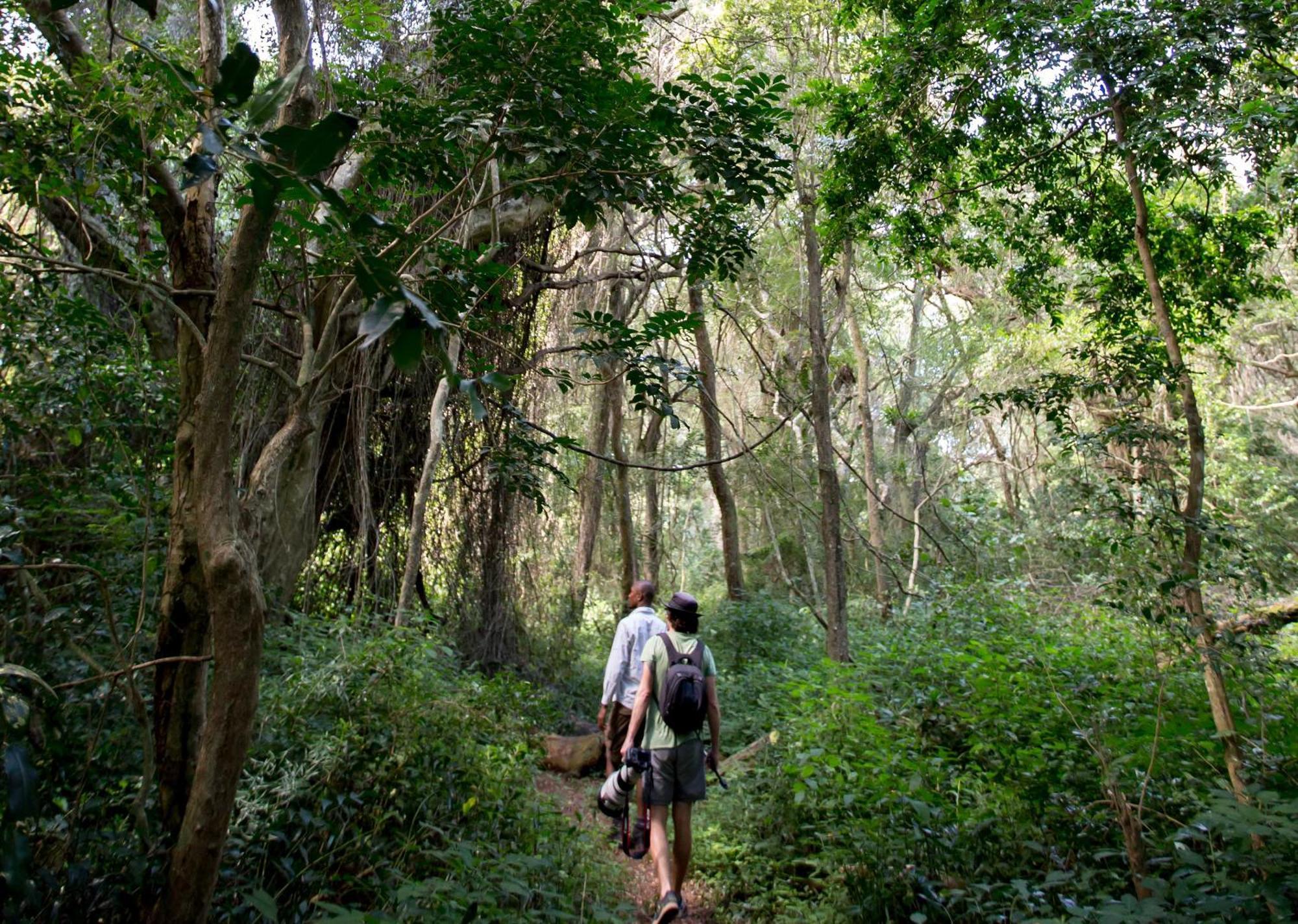 Royal Thonga Safari Lodge Sihangwane Buitenkant foto