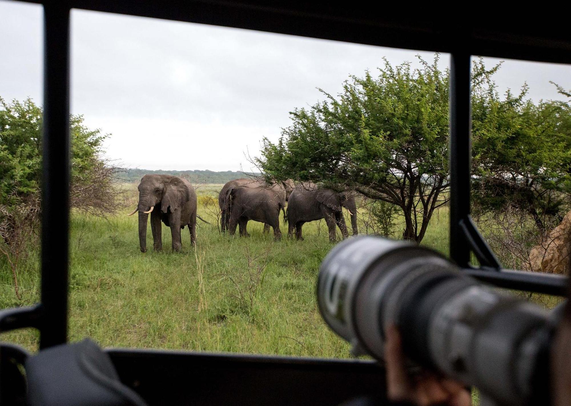 Royal Thonga Safari Lodge Sihangwane Buitenkant foto