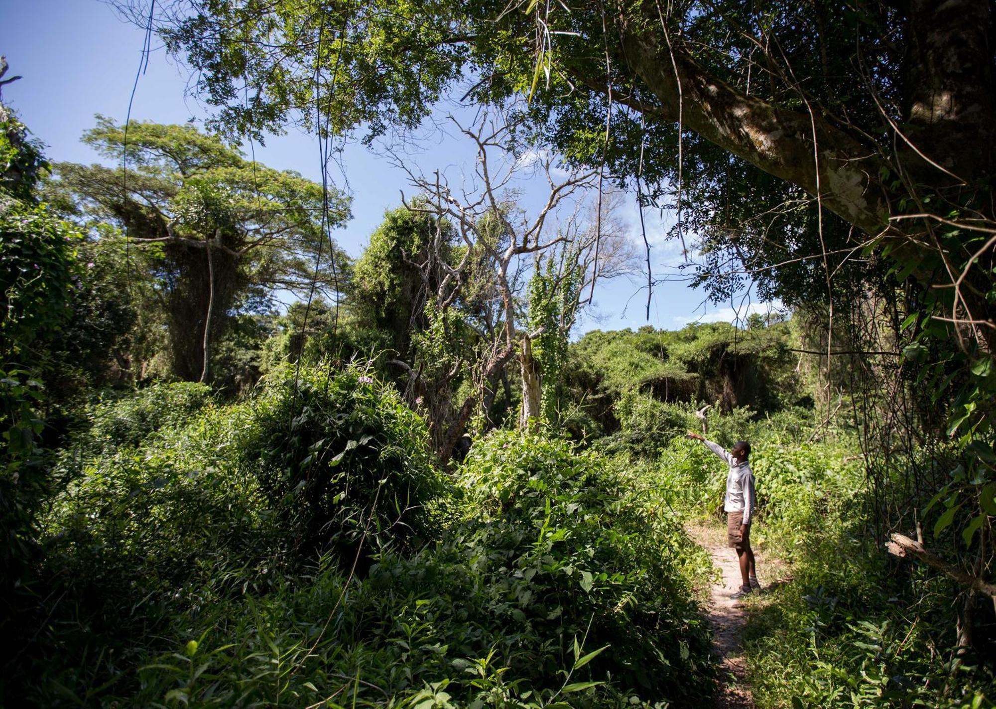 Royal Thonga Safari Lodge Sihangwane Buitenkant foto