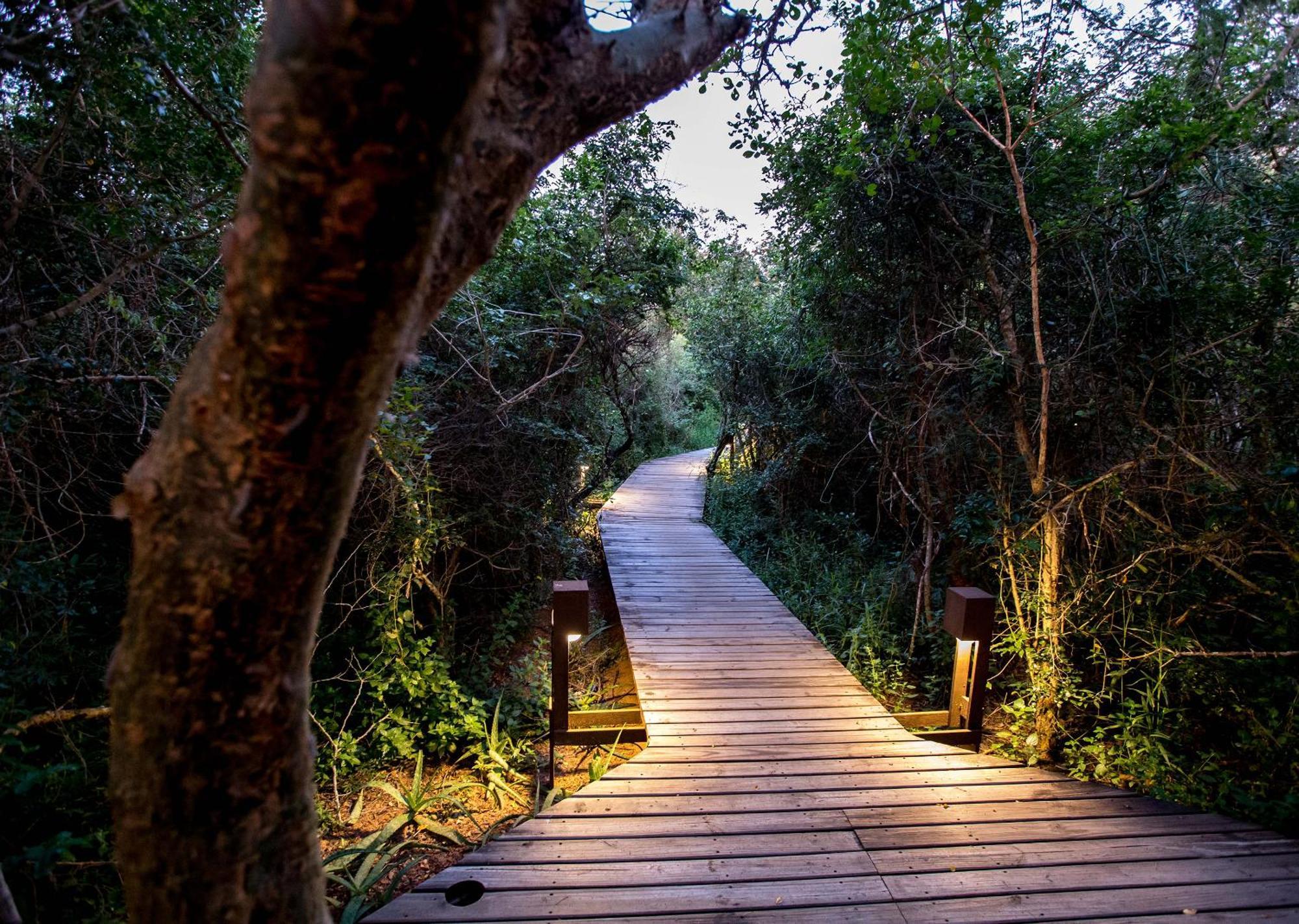 Royal Thonga Safari Lodge Sihangwane Buitenkant foto