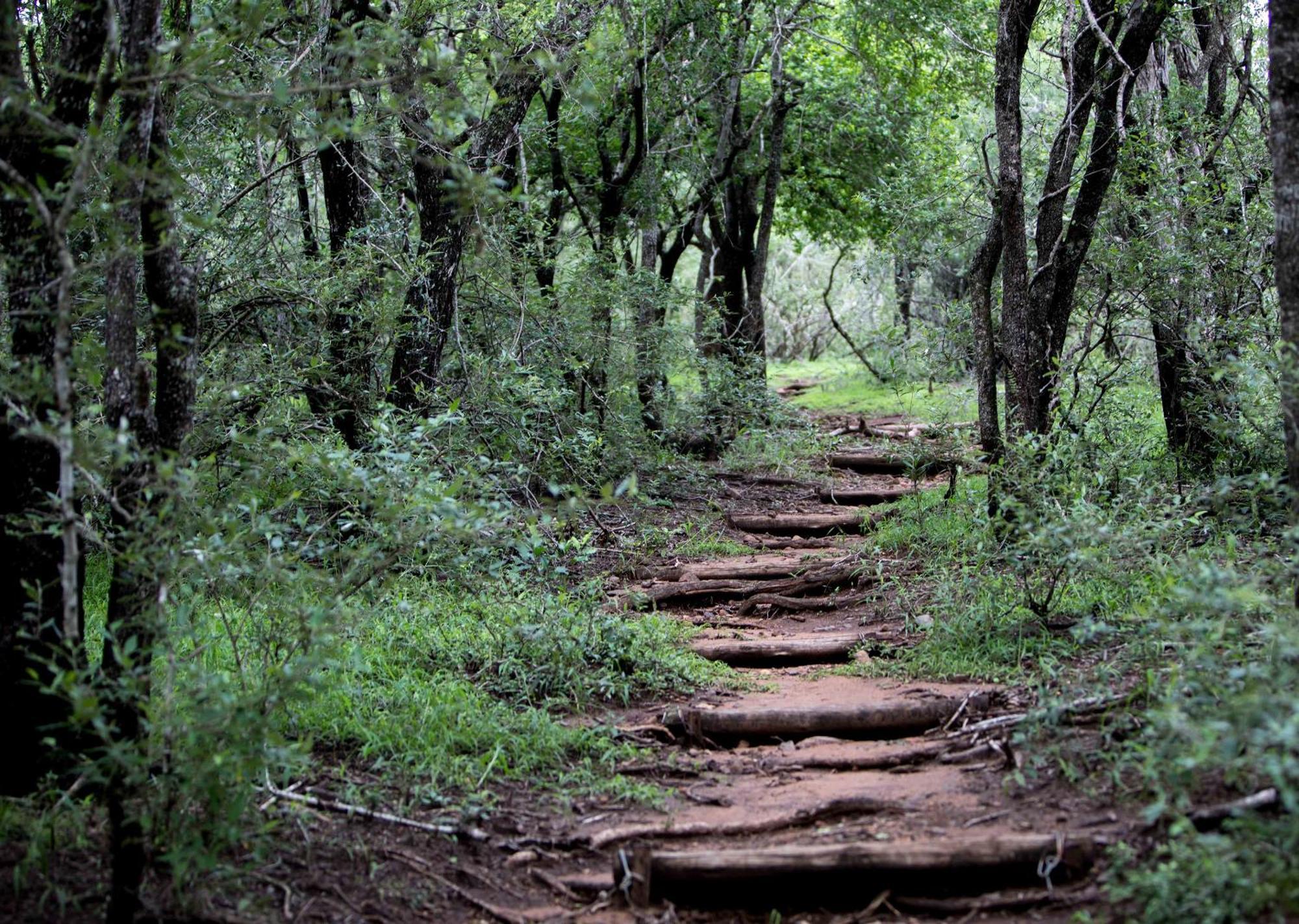 Royal Thonga Safari Lodge Sihangwane Buitenkant foto